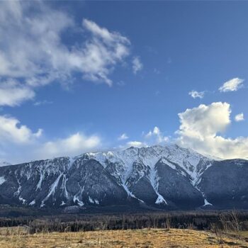 1508 White Cap Crescent