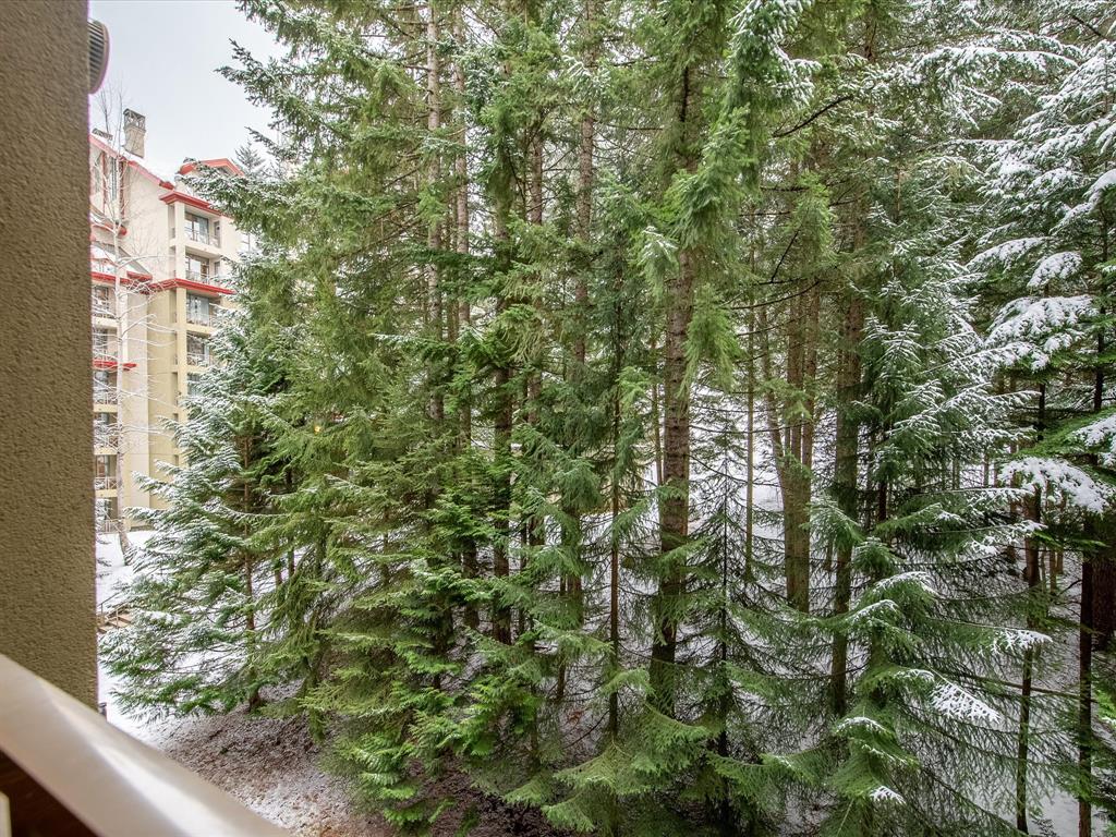 #679 – 4090 Whistler Way