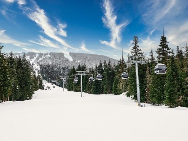 #212 – 4800 Spearhead Drive