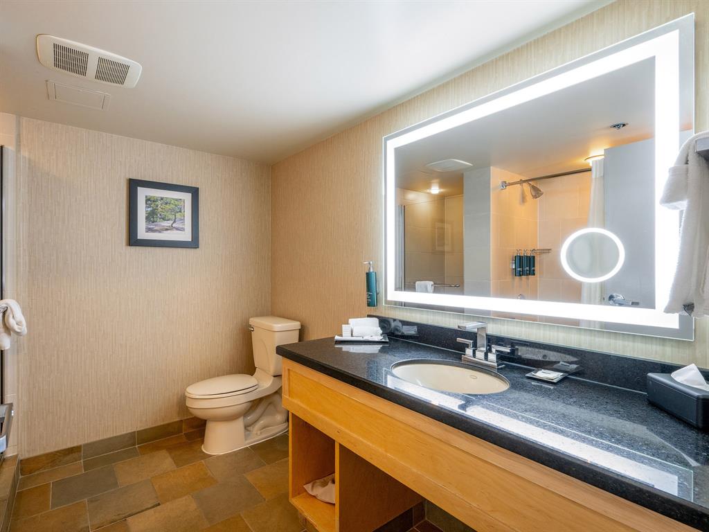 #560 – 4050 Whistler Way