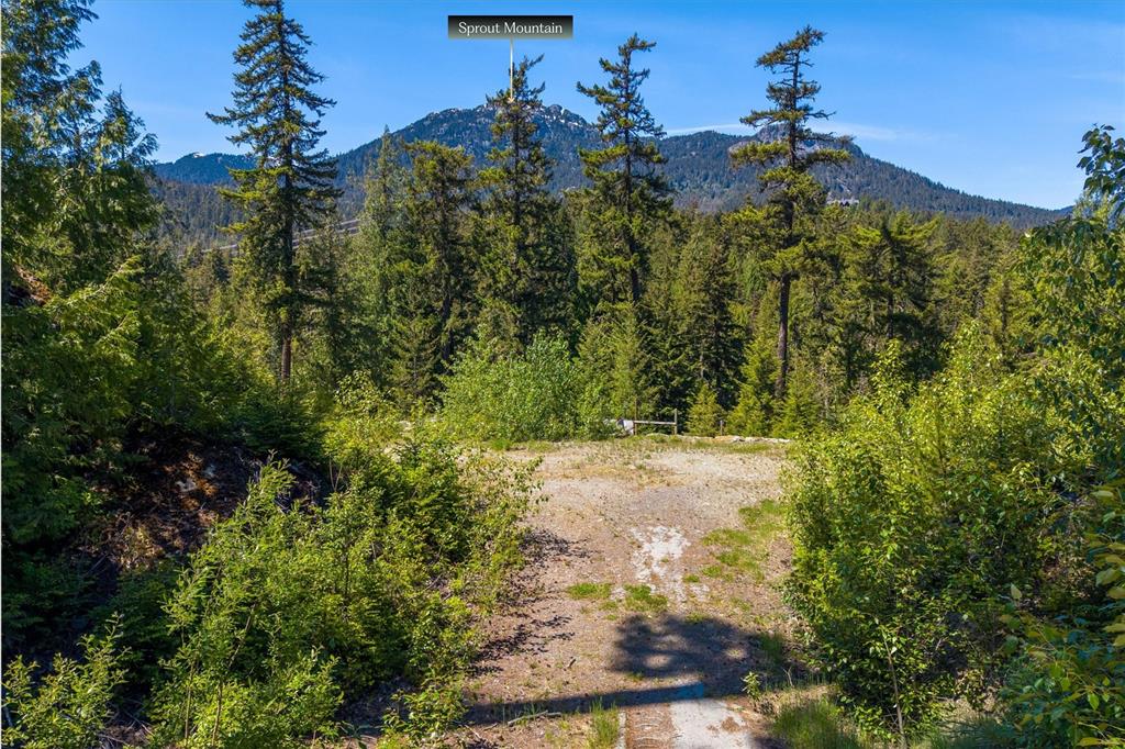 2671 Highway 99