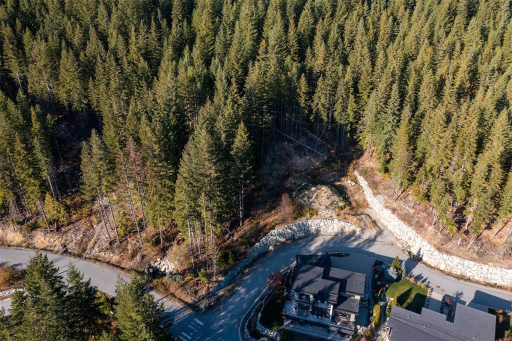 8558 Ashleigh McIvor Drive