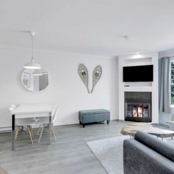 #217 – 4749 Spearhead Drive