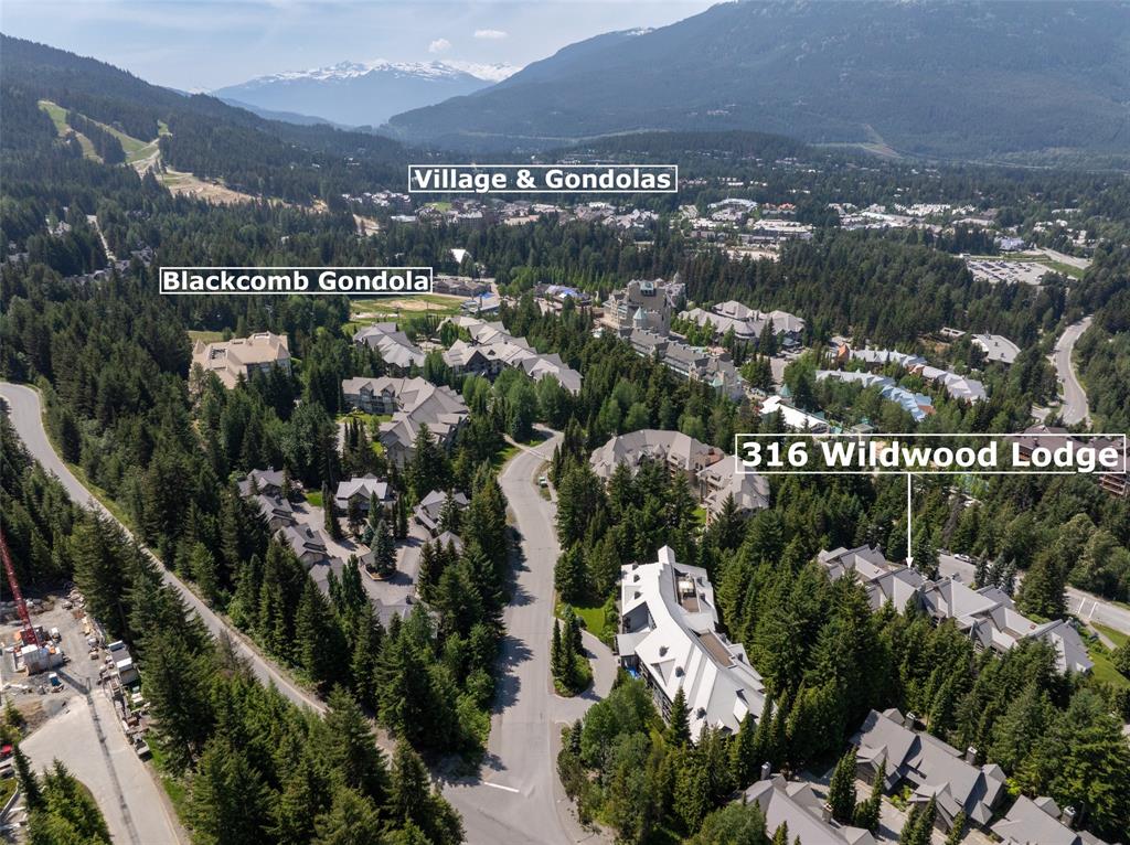 #316 – 4749 Spearhead Drive