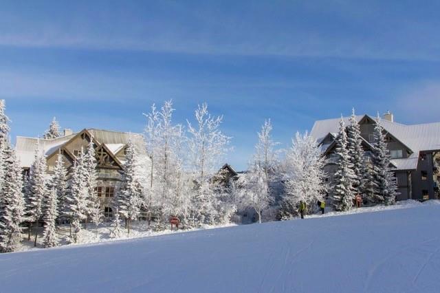 #243 – 4800 Spearhead Drive